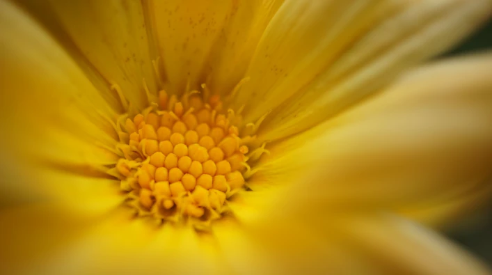 content-angebot-aufstellung